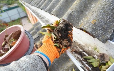 5 Fall Home Maintenance Tasks to Prepare Your Property for Winter
