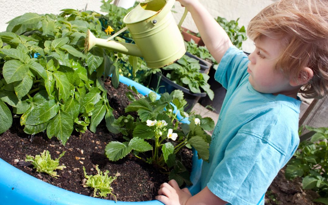 Cultivating Green Thumbs: Gardening with Kids