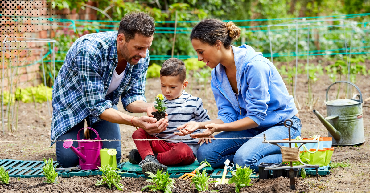 a family engaged in gardening together